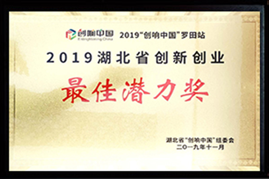 2019湖北省创新创业潜力奖