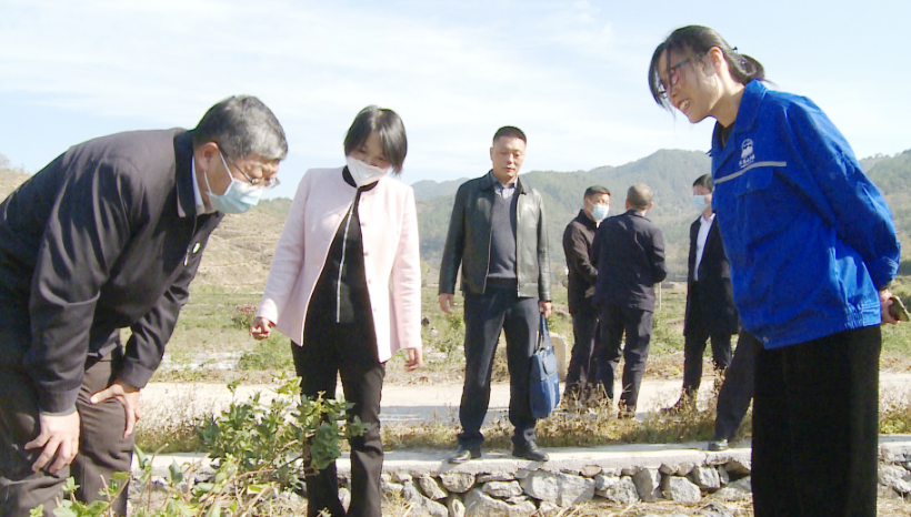 黄冈师范学院来罗田县考察指导中药材基地建设工作